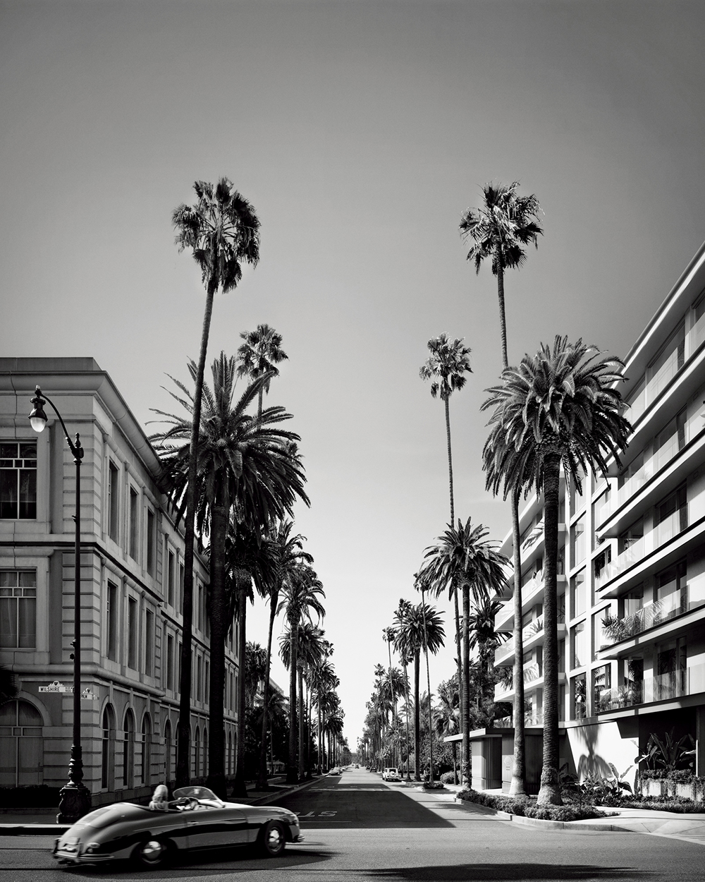 Palm trees and a classic car on the streets of Los Angeles