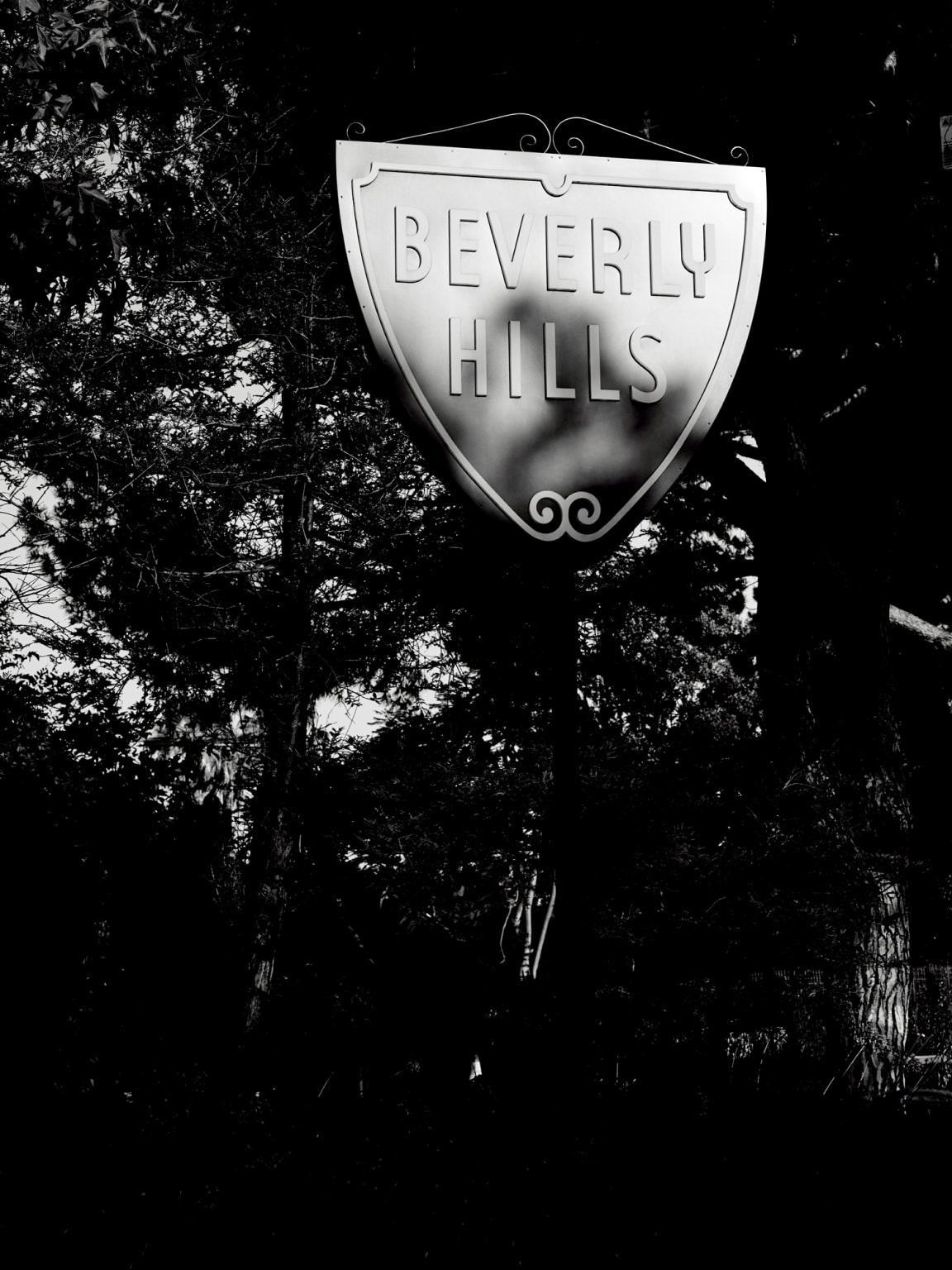 Beverly Hills sign in a wooded area